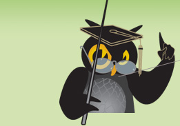 Warning owl